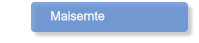 Maisernte