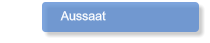 Aussaat